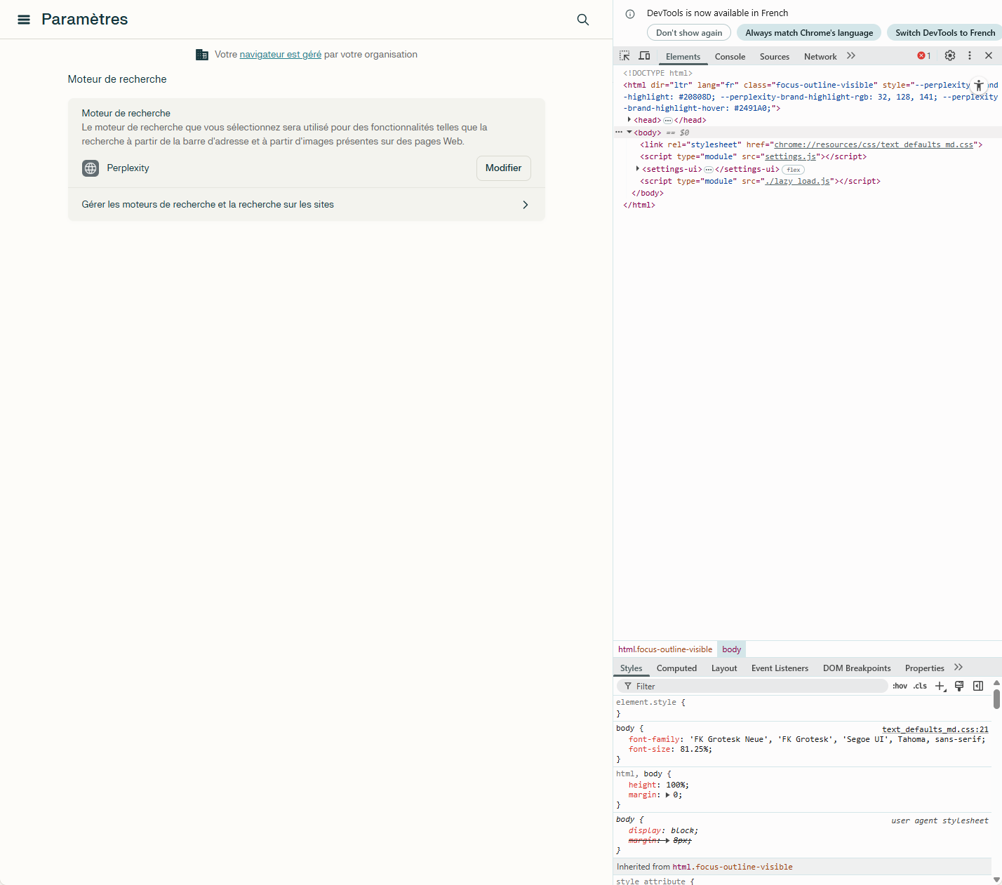 DevTools montrant l'intégration Perplexity